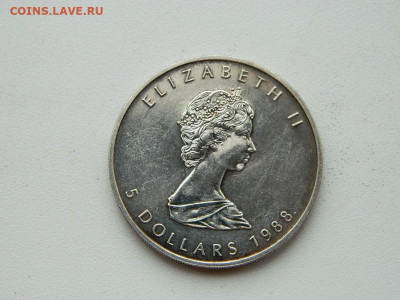 5  долларов Канада 1988 до 6.04.2024 22-00 - DSCN5704.JPG