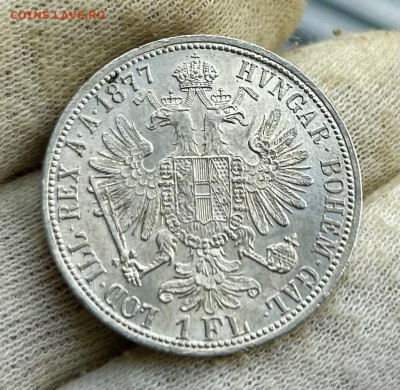 1 флорин 1877 Австро-Венгрия (AU), до 07.04.2024 в 22-00 - IMG_1789