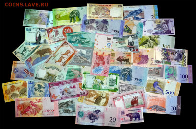 Коллекция банкнот ФАУНА - 50 штук. до 09.04. в 22:00 мск. - 40 шт ФАУНА - 1600