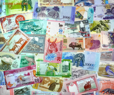Коллекция банкнот ФАУНА - 50 штук. до 09.04. в 22:00 мск. - 40 ФАУНА крупно _ 1800