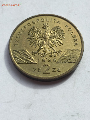 2 Злотых 1996, Сигизмунд, Ёж, Сенкевич. Опознание. - 21D788CC-B55B-4EB6-8F34-845935A08DE5