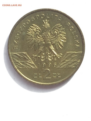 2 Злотых 1996, Сигизмунд, Ёж, Сенкевич. Опознание. - E6D04FE7-EB2D-4704-91DA-8DAF8B568E80
