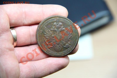 5к Кольцевик 1804г - IMG_0119 (Custom).JPG