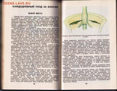 Л. Дханда КУЛЬТУРА БОНСАИ 1990 г. до 12.04.24 г. в 23.00 - 070