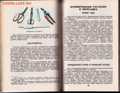 Л. Дханда КУЛЬТУРА БОНСАИ 1990 г. до 12.04.24 г. в 23.00 - 071