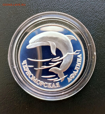 1 руб 1995 Афалина до 06.04. 21-00 - 1 руб 1995 Афалина-1