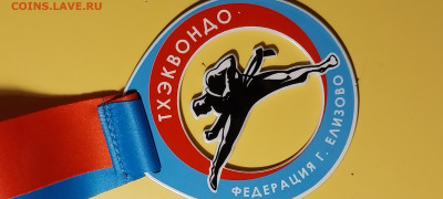 Медали Кубка федерации тхэквондо. Камчатка. Елизово. - 20240407_010306