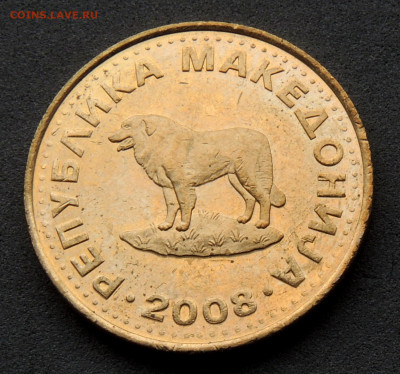 Македония 1 денар 2008 до 11.04.2024 - Македон.1д.2008.Х .JPG