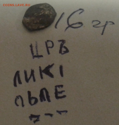 Чешуйки на опознание - 20240406_202035