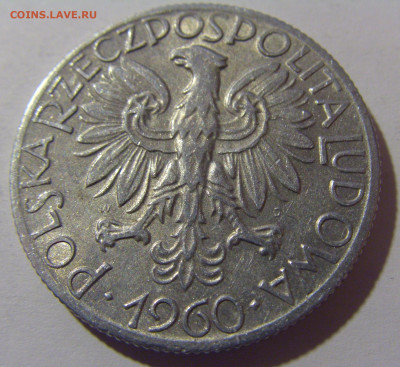 5 злотых 1960 Польша №1 13.04.24 22:00 М - CIMG3114.JPG
