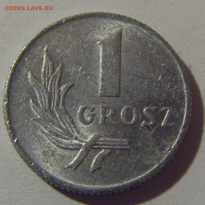 1 грош 1949 Польша №1 13.04.24 22:00 М - CIMG3192.JPG