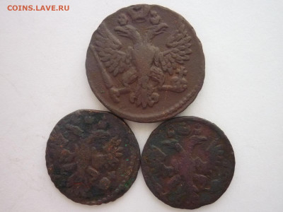 Денга 1748г. + Полушка 1735г.(2 шт.), до 13.04.2024г., 22.00 - P1250423.JPG