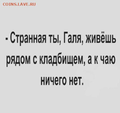Юмор - photo_2024-04-08_10-23-16 (Мелкий)