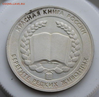 Памятная медаль Леопард - IMG_6103.JPG
