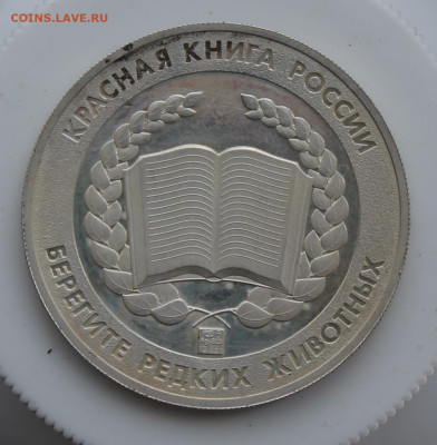 Памятная медаль Леопард - IMG_6102.JPG