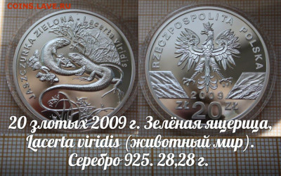 Польша 20 злотых 2009 Зелёная Ящерица. До 11.04.24 в 22:00 - Ящерица