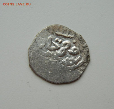 Токтамыш Белед Азак. С рубля! до 15.04.24 - DSCN6878.JPG