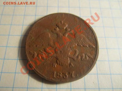 2к-1810нм"пчёлка",2к1837ем.на. - IMG_0555