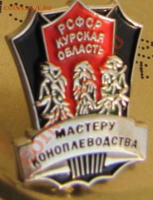 Значок Мастеру коноплеводства РСФСР Курская область "Копия" - IMG_3045.JPG