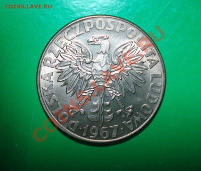 Польша, Складовская-Кюри 10 злот до 22.01.12 в 22.00 МСК - Кюри2