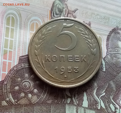 5 копеек 1953. До 19.04.24 в 22.00 - 20240413_145358