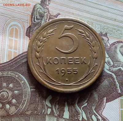 5 копеек 1955. До 19.04.24 в 22.00 - 20240413_145704