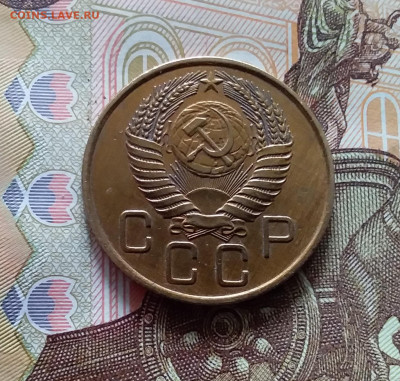 3 копейки 1955. До 19.04.24 в 22.00 - 20240413_154152