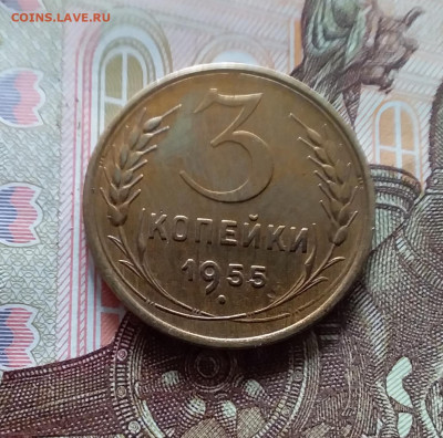 3 копейки 1955. До 19.04.24 в 22.00 - 20240413_154133