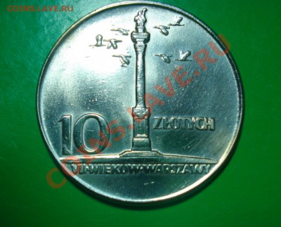 Польша, Колонна Сигизмунда 10zl до 22.01.12 в 22.00 МСК - колонна