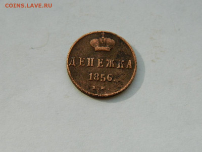 денежка ЕМ 1856 до 18.04.2024 22-00 - DSCN6167.JPG