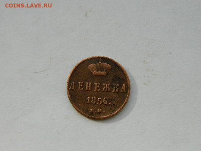 денежка ЕМ 1856 до 18.04.2024 22-00 - DSCN6166.JPG