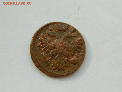 денга  1738 до 18.04.2024 22-00 - DSCN6172.JPG