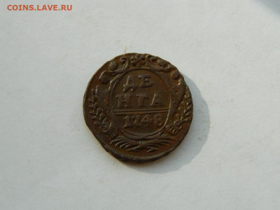 денга 1748 до 18.04.2024 22-00 - DSCN6178.JPG