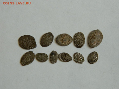 Несколько чешуек  на определение - DSCN6405.JPG