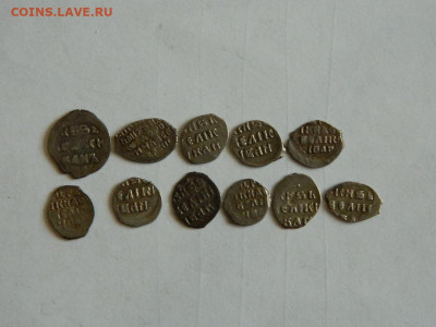 Несколько чешуек  на определение - DSCN6396.JPG