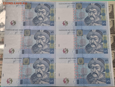 Украина 2, 5, 10 гривен, листы по 6 банкнот. Оценка - 20240415_185751