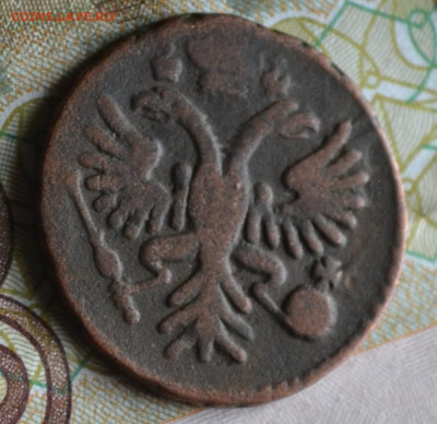 деньга 1731 одна черта - 3в4.JPG