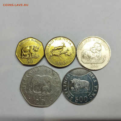 5 монет Танзании 2000-х, до 20.04.24г. - IMG_20240417_123847