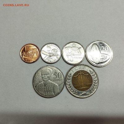 6 монет Ганы, 2007г., до 20.04.24г. - IMG_20240417_124857