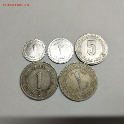 5 монет Алжира, до 20.04.24г. - IMG_20240417_142825