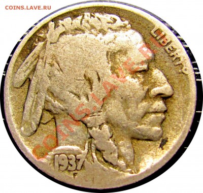 G09 США Buffalo Nickel 5¢ 1937D до 23.01 в 22°° - G09 USA Buffalo Nickel 1937D_1
