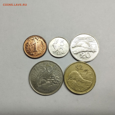 5 монет Зимбабве, до 20.04.24г. - IMG_20240417_145103