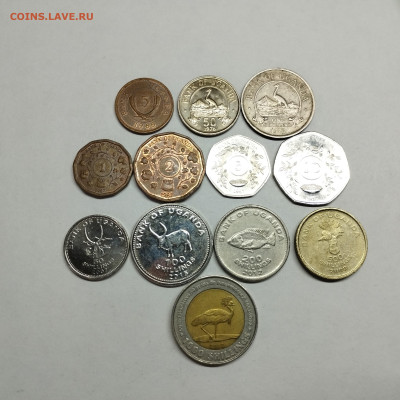 12 монет Уганды, до 20.04.24г. - IMG_20240417_150240