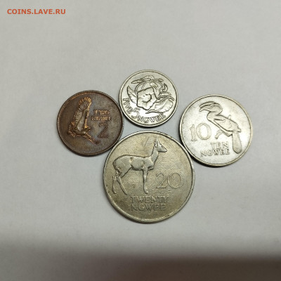 4 монеты Замбии, 1968г., до 20.04.24г. - IMG_20240417_130233