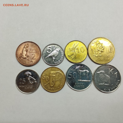 8 монет Замбии, до 20.04.24г. - IMG_20240417_130242