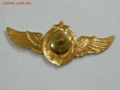 крылышки космические войска 1 кл до 20.04.2024 22-00 - DSCN6416.JPG