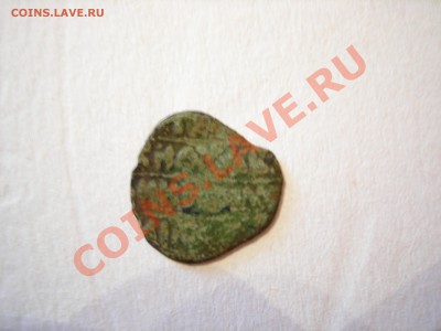 Предположительно пуло тверское - DSCN9540.JPG