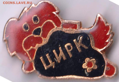 24 г. в 23.00 - 022
