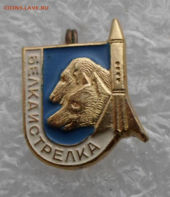 Космос Полет Белка и Стрелка до 21.04. - SAM_1890.JPG