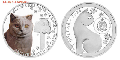Кошки на монетах - Б-6